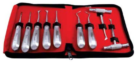GDC elevators kit, root elevators and cross-handle instruments in a red zip case